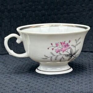 Karolina Poland China Teacup Pink Floral Silver Trim Vintage Porcelain 3879 1